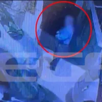 Κακοποίηση σε γατάκι από αντιδήμαρχο στην Κρήτη