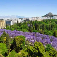 δεντρα