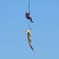 Ο κροκόδειλος στην Αφρική