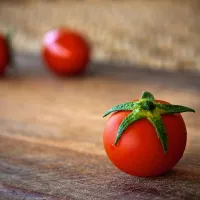 Ντομάτα