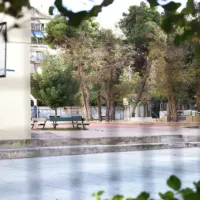 παροαυλιο