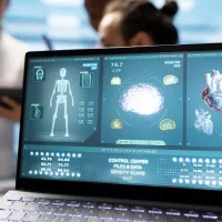 3d model of human body