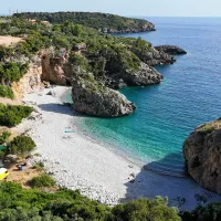 foneas