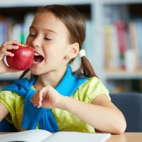 Η μεγάλη ανατροπή στη διατροφή: Η νέα «αντεστραμμένη» πυραμίδα που διχάζει τους επιστήμονες του Χάρβαρντ