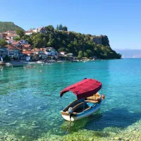 ορχιδα