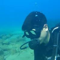 paidi