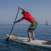 sup