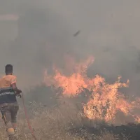Φωτιά στη Βοιωτία