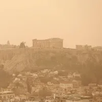 skoni