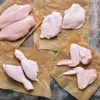 chicken