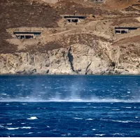 μελτέμια 