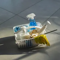 Σχολικοί καθαριστές