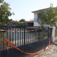 rodopi