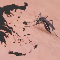 κουνουπια δυτικου νειλου