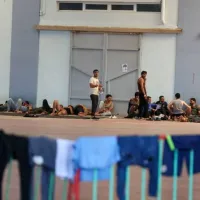 metanastes