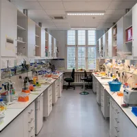 labs