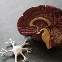 Alzheimer