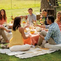 picnicnic
