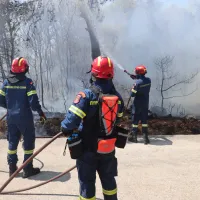 Εποχικοί πυροσβέστες ενώ σβήνουν φωτιά