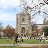 yale