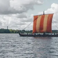 vikings
