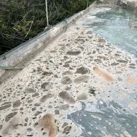 apovlita