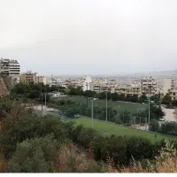 Αλεπότρυπα Κυψέλη