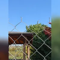 φραχτης