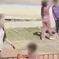 νητπ