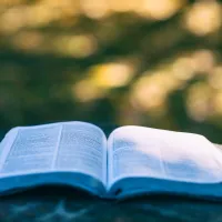 books 222