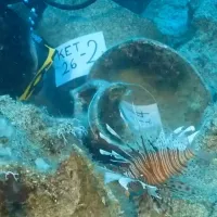 5545