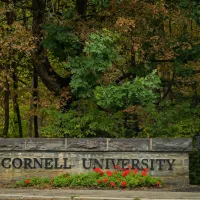 Cornell