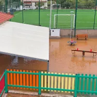 Κρήτη σγουροκεφαλι