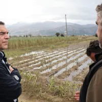 kriti tsipras