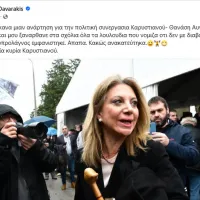 Μαρία Καρυστιανού - Νέο κόμμα