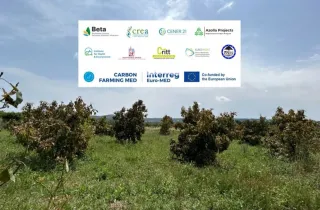 politexneio kritis