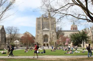 yale