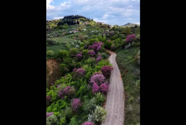 δρομος