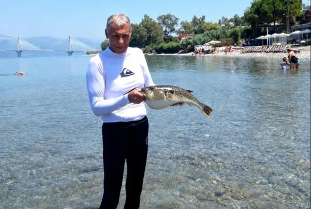 λαγο