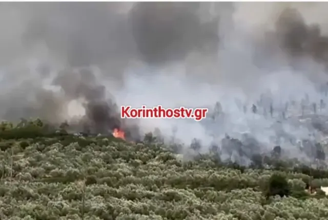 Πύρινο μέτωπο στο Σπαθοβούνι Κορινθίας – Ήχησε το 112, μεγάλη κινητοποίηση της Πυροσβεστικής