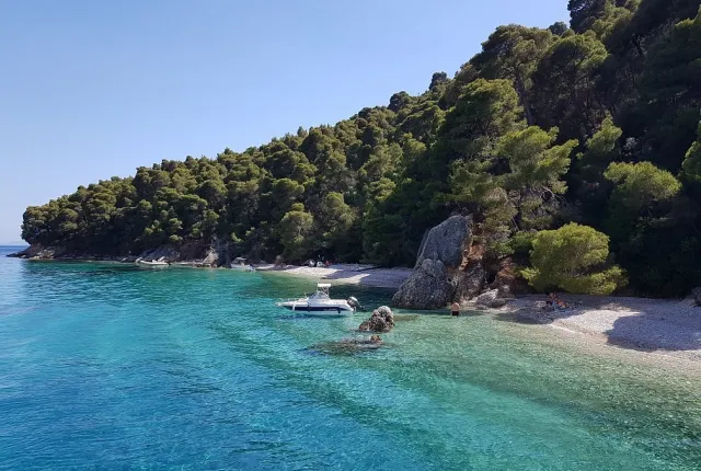 paralia