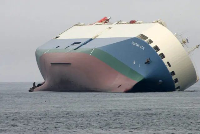 ship cougar