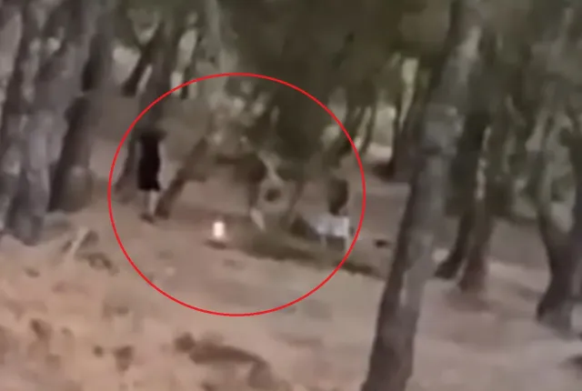 Βάζουν φωτιά στο δάσος και μετά προσπαθούν να τη σβήσουν
