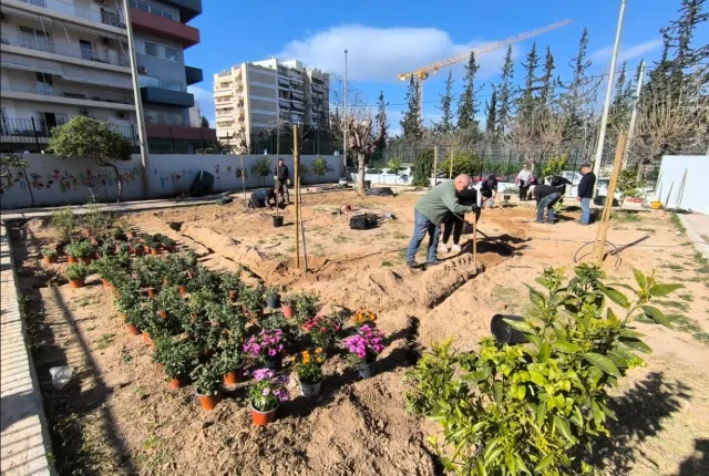 φυτα
