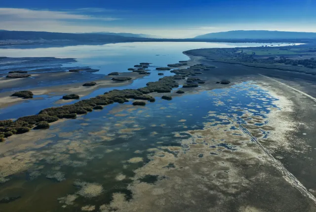 koronia