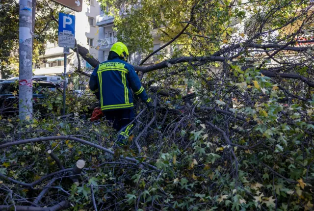 Πυροσβέστης σε επιχείρηση απομάκρυνσης πεσμένου δέντρου
