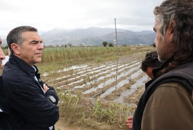 kriti tsipras