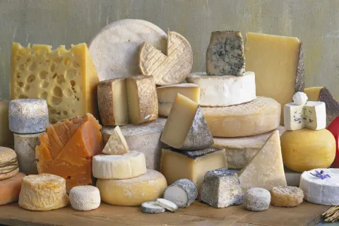 Cheese