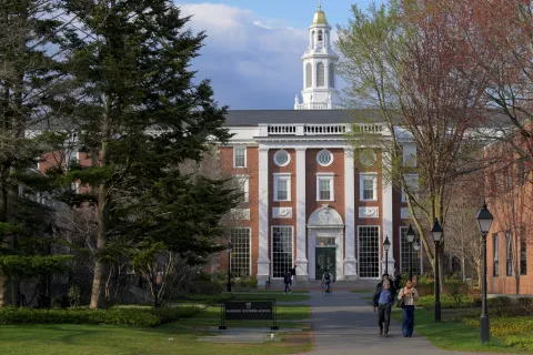 harvard_university