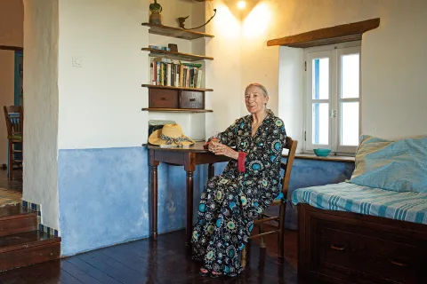 giagia alonisos
